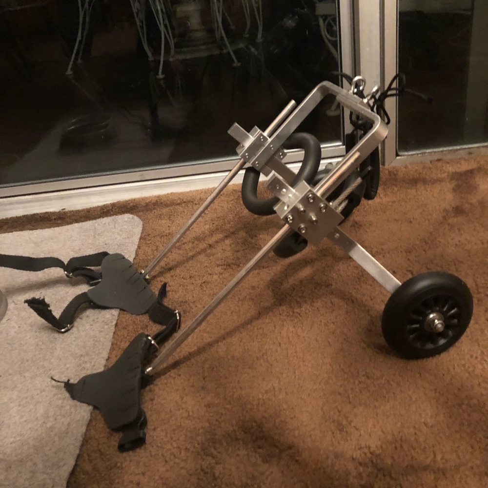 Never used doggie wheelchair 8 lb doggies